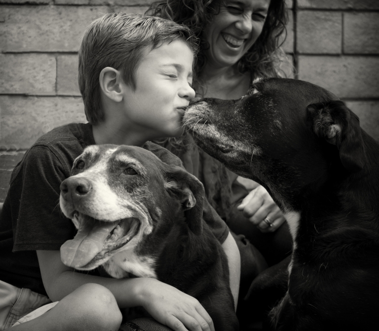 Kids, Family and Pets
