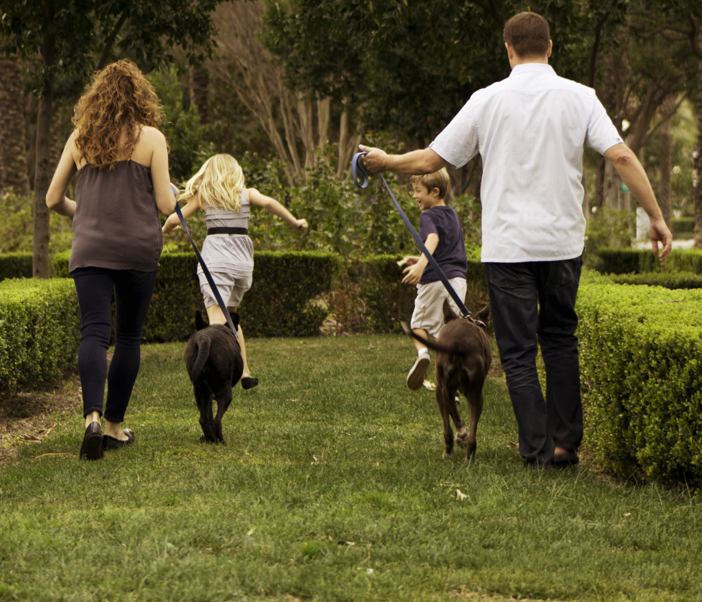 Kids, Family & Pets